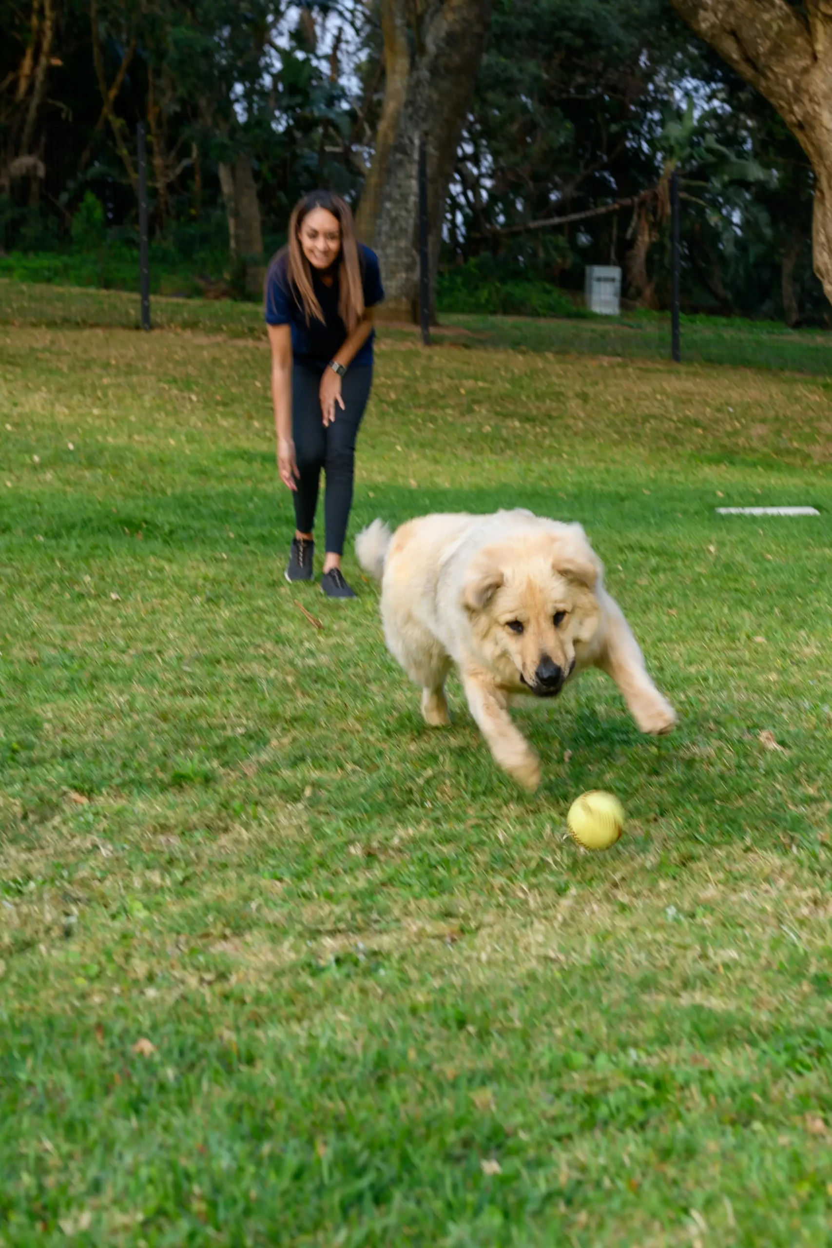 Image101-scaled_result