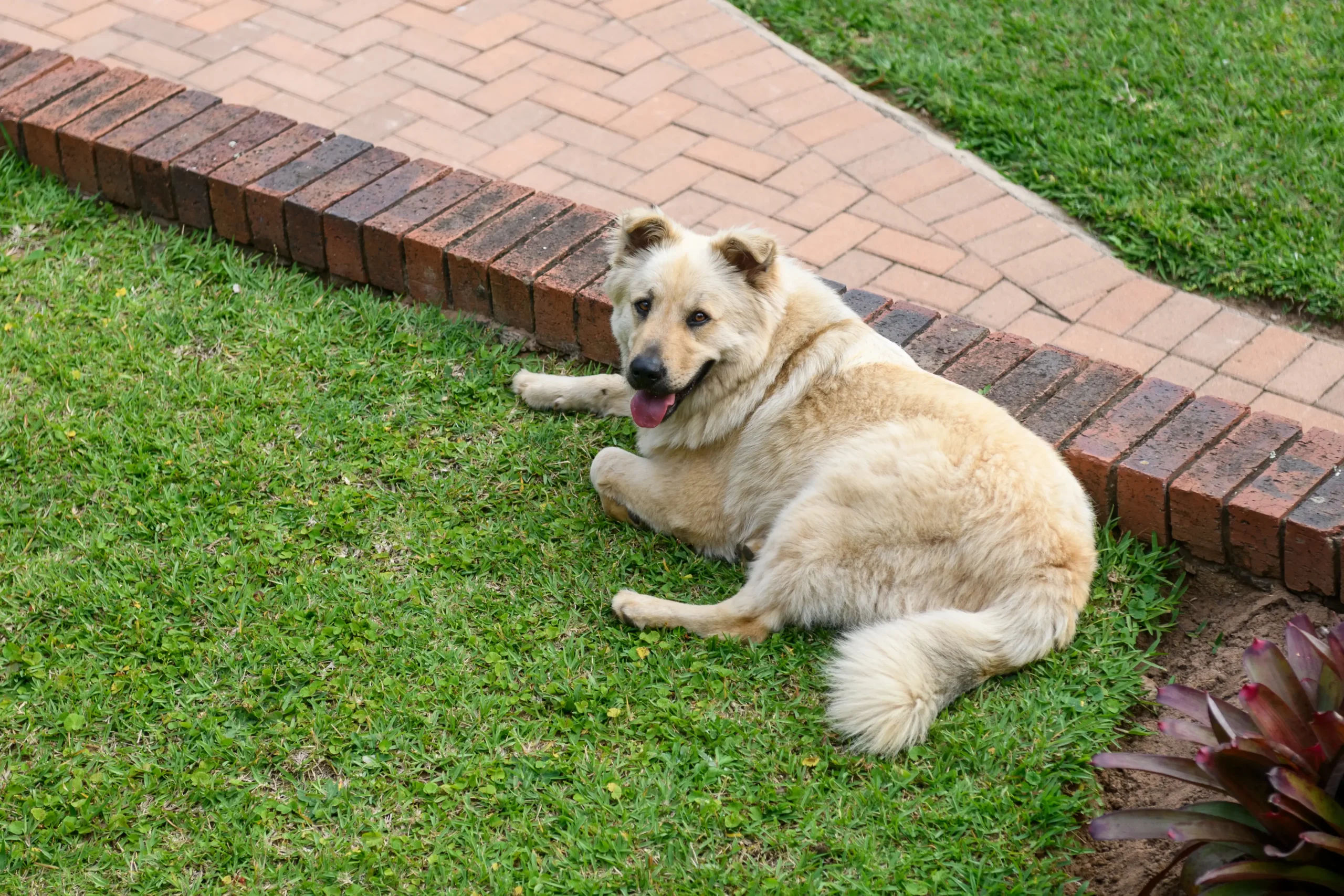 Image106-scaled_result