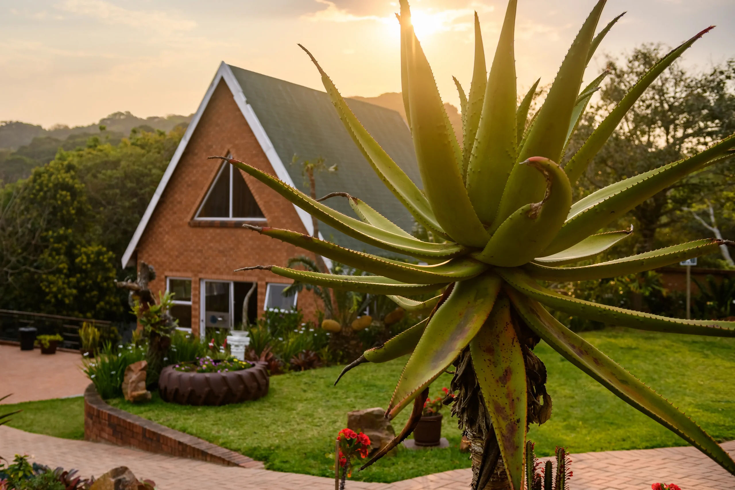 Image112-scaled_result