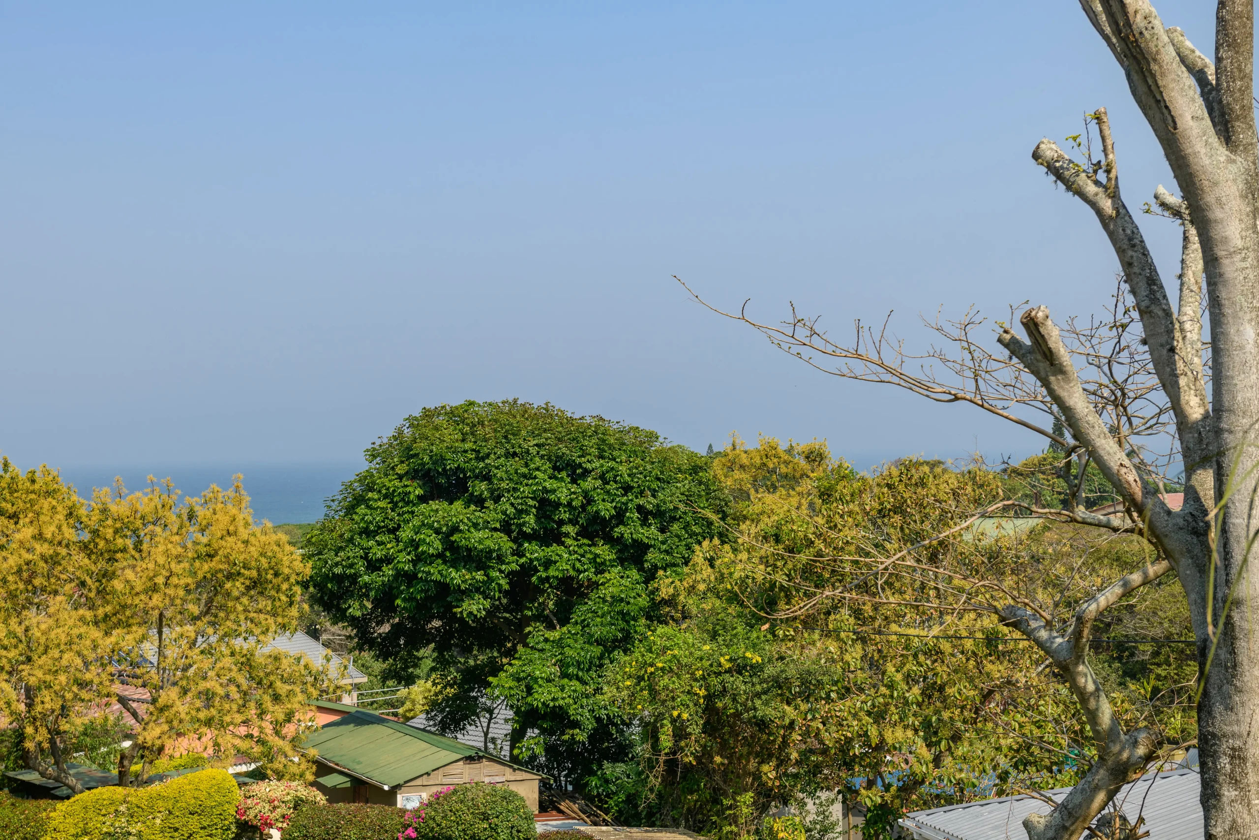 Image13-scaled_result