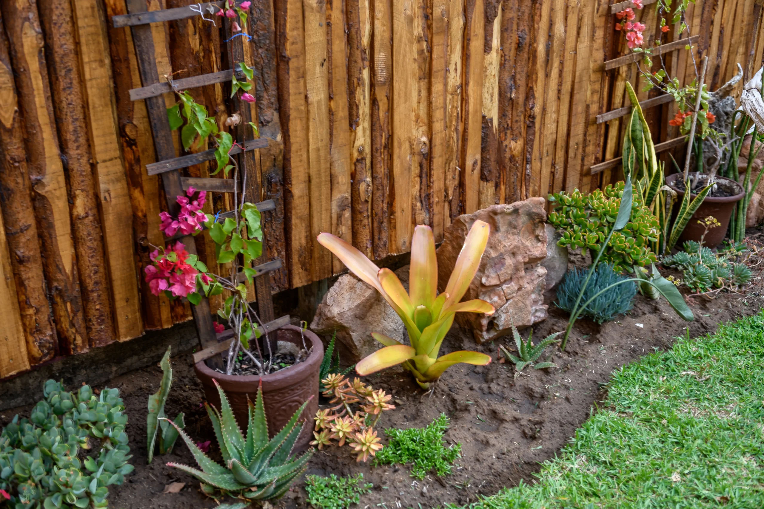 Image96-scaled_result