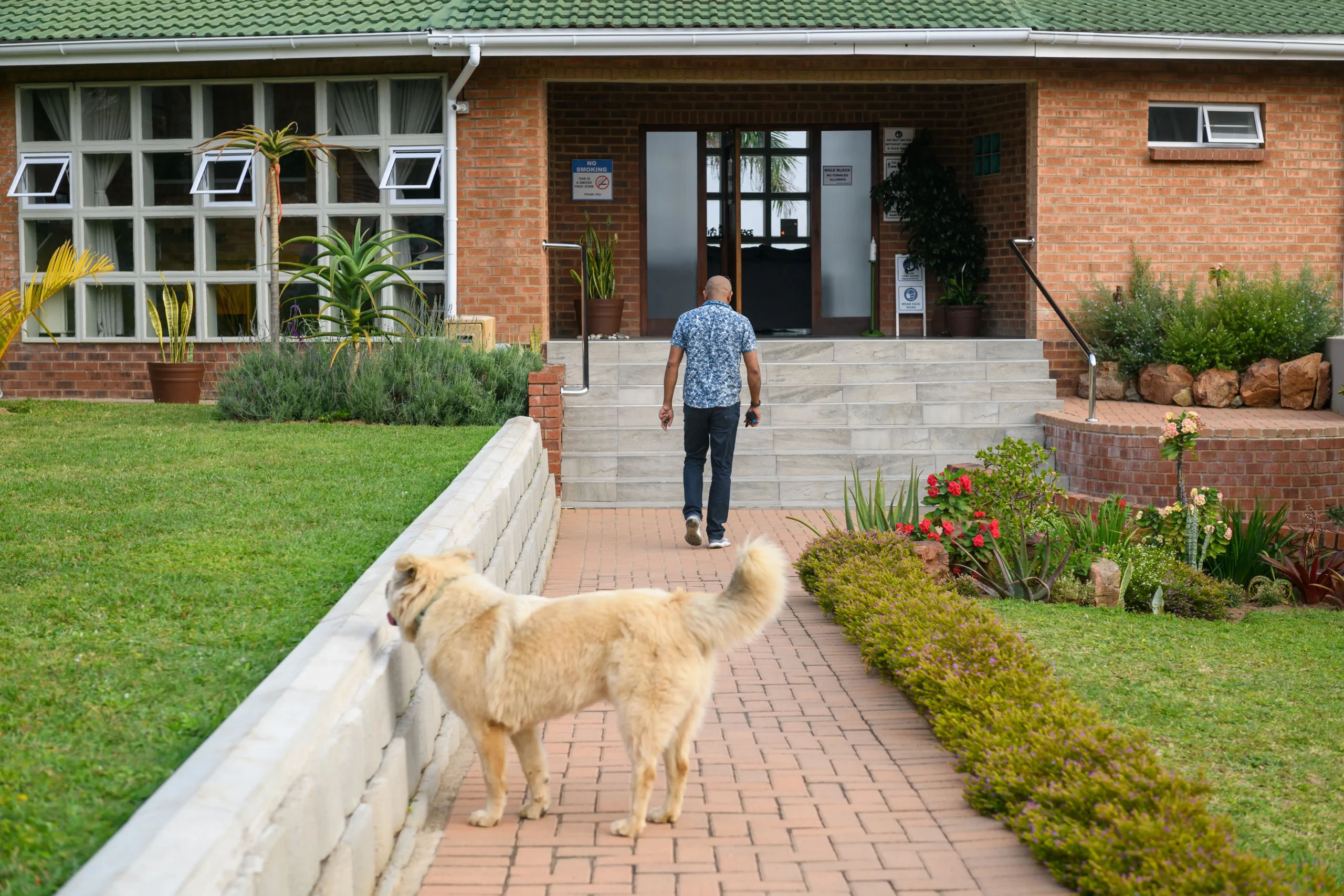 Image99-scaled_result